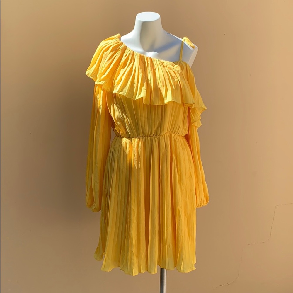 Endless Rose Pleated One Shoulder Dress